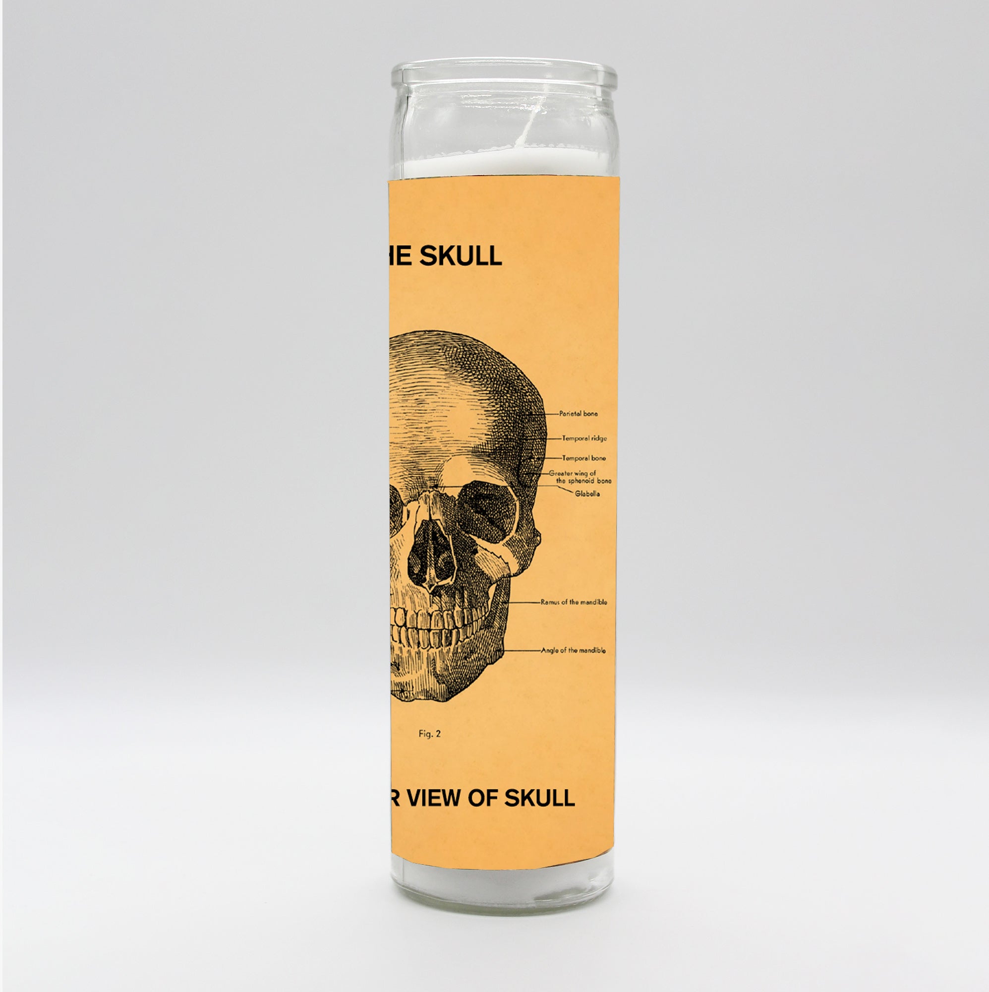Saint Anatomy Design Candle Set